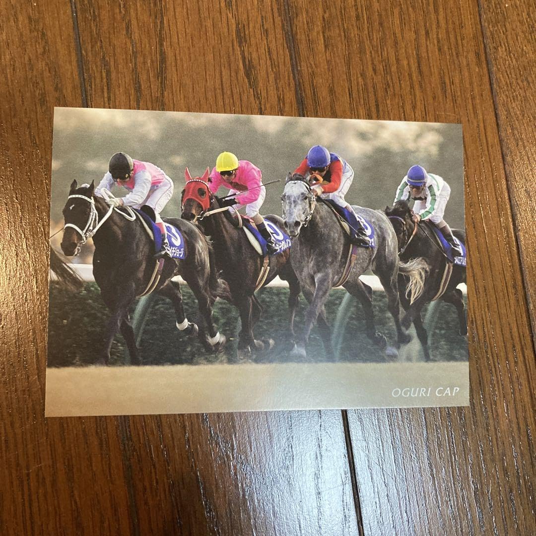 Amazon.co.jp: 第35回有馬記1990年12月23日中山競馬場優勝馬:オグリ